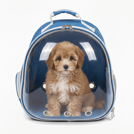 HMA Dog and cat back bag Pet carrier for Cat and Dog