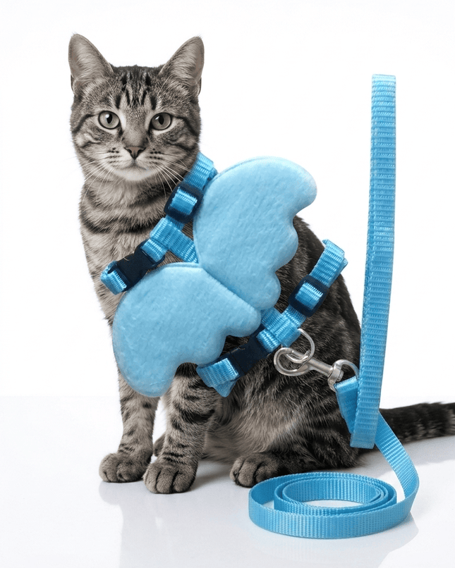 HMA Dog and cat Coolcat Angel Wing Design Pet Harness and Leash Set Blue