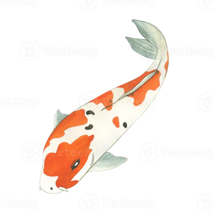 HMA Dog and cat Crazy fish pet toy fish electric moving