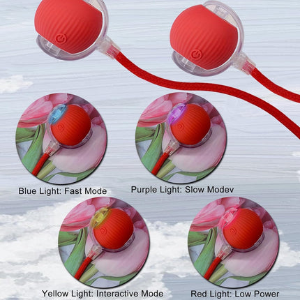 HMA Dog and cat Crazy Pet Ball for Dogs and Cats