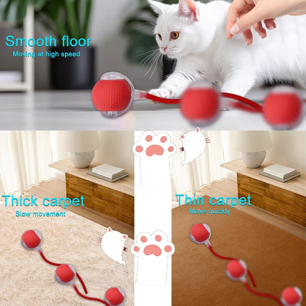 HMA Dog and cat Crazy Pet Ball for Dogs and Cats