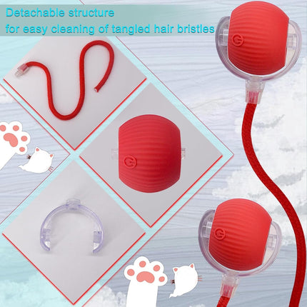 HMA Dog and cat Crazy Pet Ball for Dogs and Cats