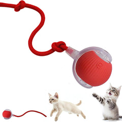 HMA Dog and cat Crazy Pet Ball for Dogs and Cats