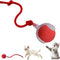 HMA Dog and cat Crazy Pet Ball for Dogs and Cats
