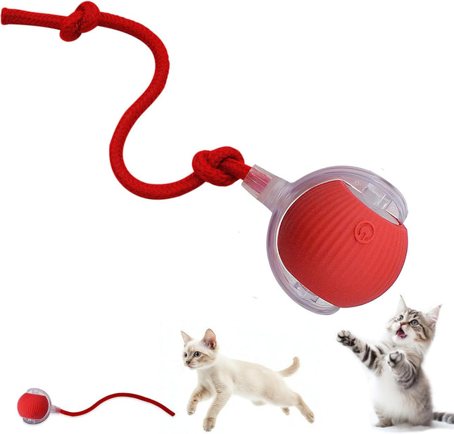 HMA Dog and cat Crazy Pet Ball for Dogs and Cats