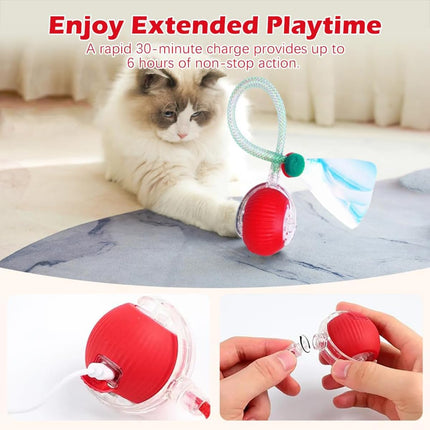 HMA Dog and cat Crazy Pet Ball for Dogs and Cats Green