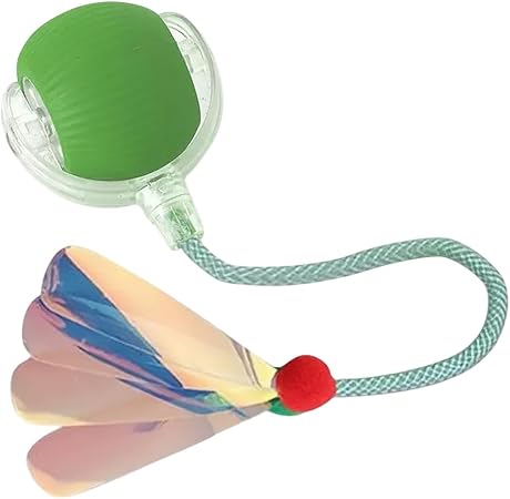 HMA Dog and cat Crazy Pet Ball for Dogs and Cats Green