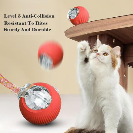 HMA Dog and cat Crazy Pet Ball for Dogs and Cats Green