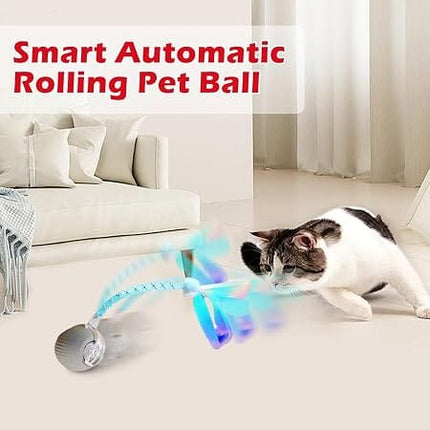 HMA Dog and cat Crazy Pet Ball for Dogs and Cats Green