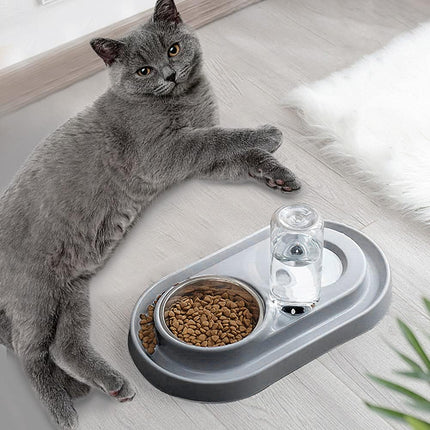 HMA Dog and cat Feeder and water For Cat And Dog 2 in 1