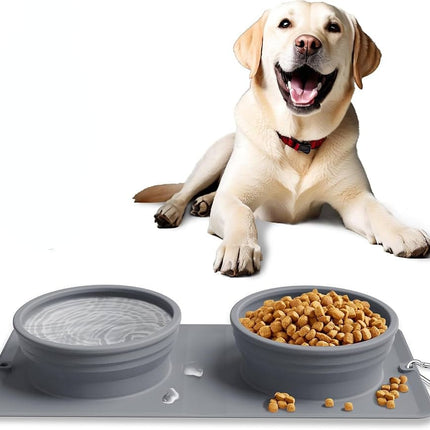 HMA Dog and cat Feeder Dog Bowl 2-in-1 Water and Food