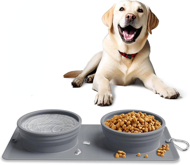 HMA Dog and cat Feeder Dog Bowl 2-in-1 Water and Food