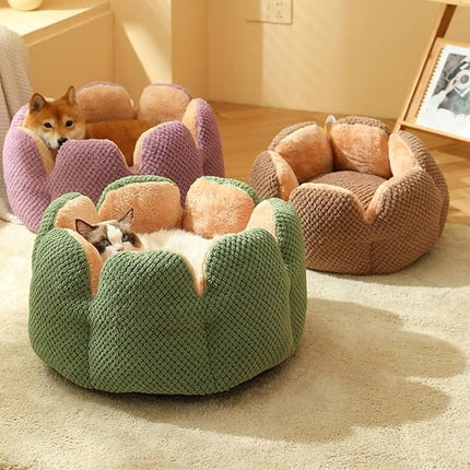 HMA Dog and cat Plush Flower Pet Bed Soft Fluffy Green and Beige Calming Cat and Small Dogs Cuddler Nest with Raised Petal Rim 55 × 55 cm