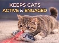 HMA Dog and cat Smart Hands Free Laser Cat Toy Collar Interactive Wearable Pointer Blue