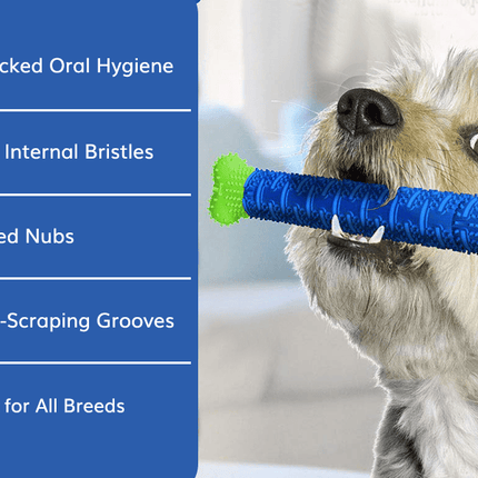 HMA Dog Natural Rubber Tough Durable Dog Chew Toys