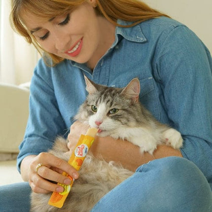 Inaba Cat Inaba Churu Pops Cat Treats with Tuna and Chicken 4 in 15 gr