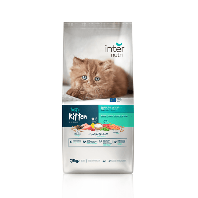 InterNutri Cat InterNutri dry food for Kitten cat Tasty With Chicken 2Kg