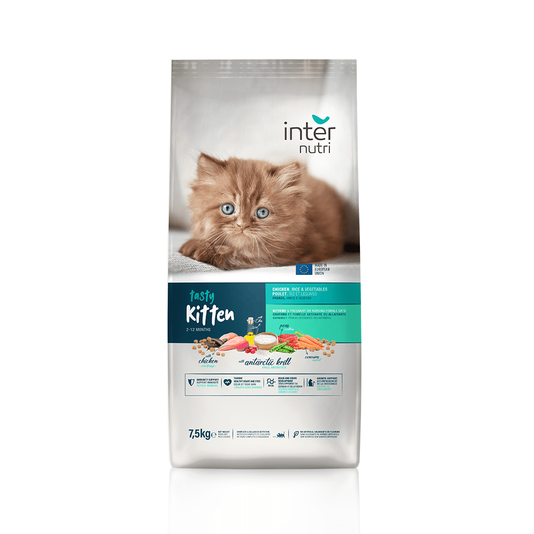 InterNutri dry food for Kitten cat Tasty With Chicken 2Kg