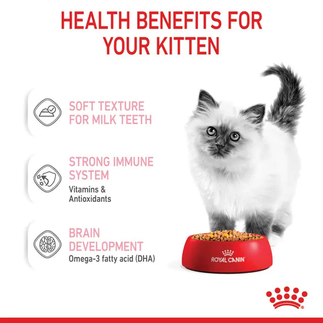 Royal Canin Wet Food in Jelly for Kitten 85 gr