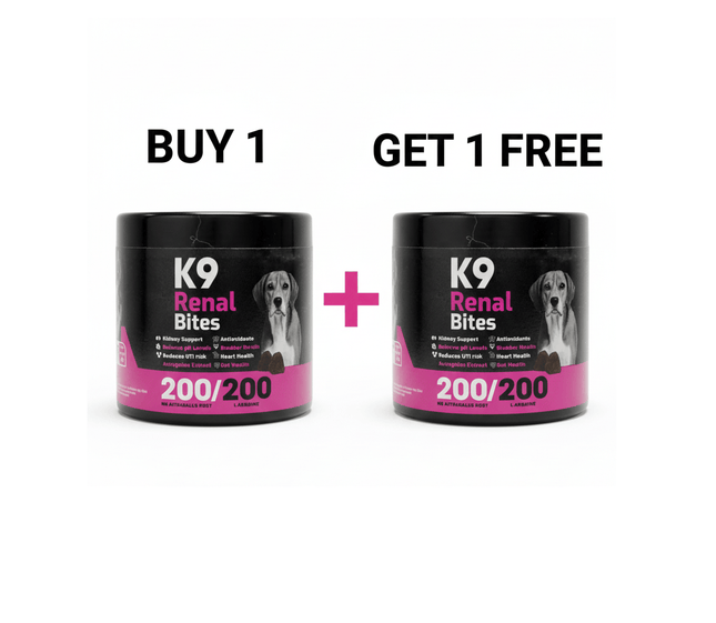 K9 Dog K9 Supplement Renal For Dogs 90 Pcs buy One Get One Free