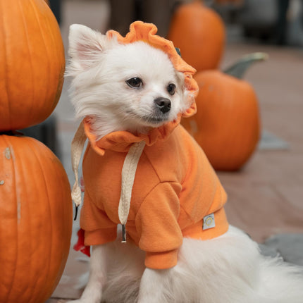large Dog Large Orange Printed Dog Hoodie
