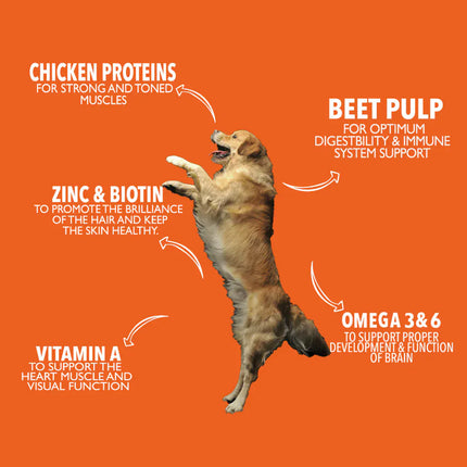 Legends Dog Legends dry food for Adult Dog with Chicken 15Kg