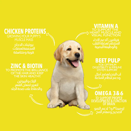 Legends Dog Legends Dry Food with Chicken for Puppies and Junior Dogs 2Kg