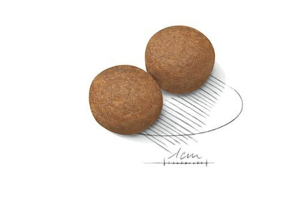 طعام جاف من رويال كانين للكلاب البالغة من سلالة ماكسي +15 شهرًا، 15 كجم