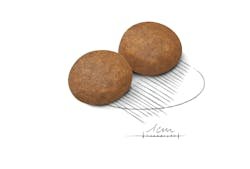 طعام رويال كانين الجاف للكلاب البالغة من سلالة ماكسي بعمر 5 سنوات فما فوق، 15 كجم