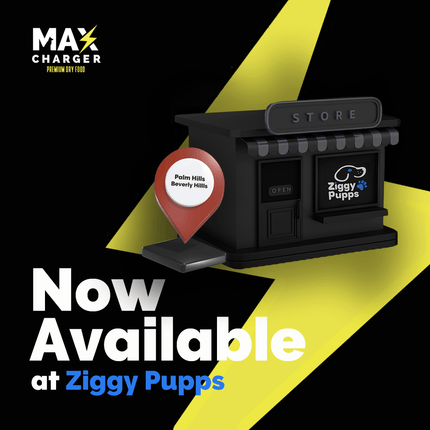 Max Charger Dog Max Charger dry food for Adult Dog Chicken and Salmon 15 Kg