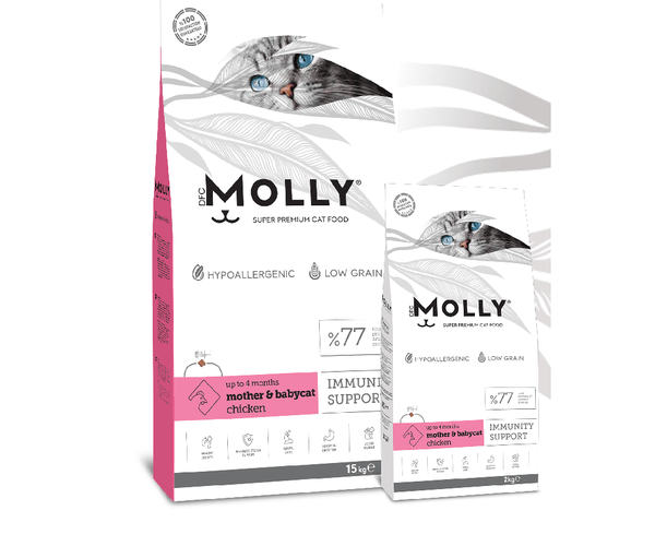 キャットフード molly molly-cat-molly-dry-food-