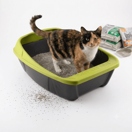 MPS Cat Litter MPS Black and Green Cat Litter Tray