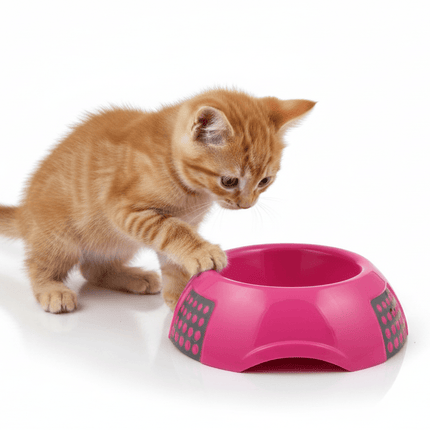 MPS Cat MPS Small Pet Bowl