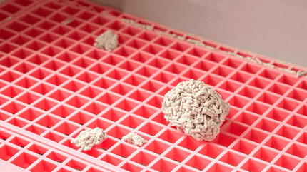 Naomi Cat Semi automatic Cat Litter Box with Side Door