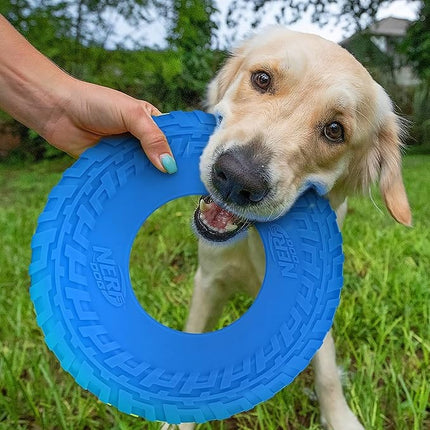 Nerf Dog Nerf Dog Flyer Toy