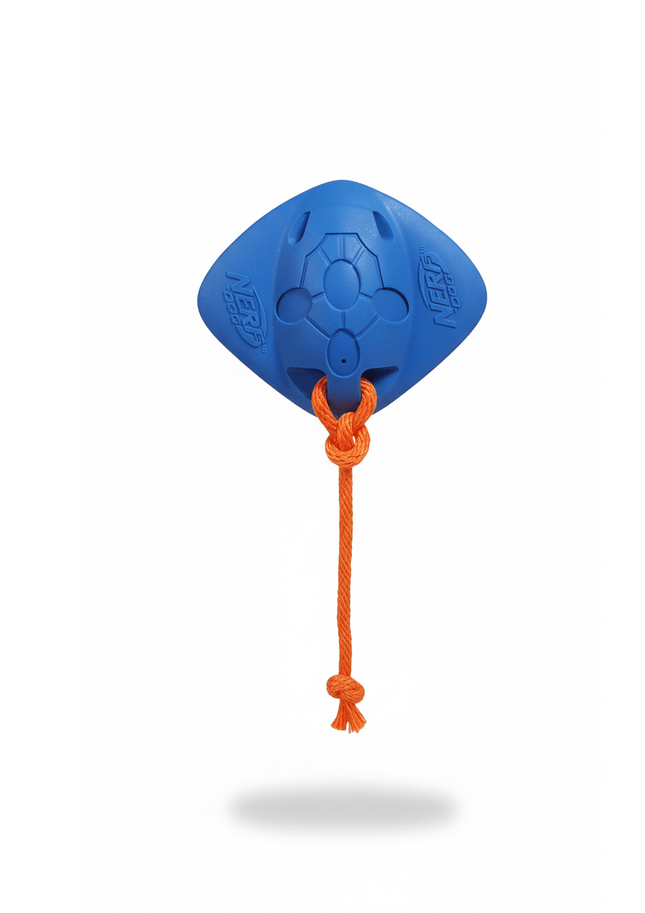 Nerf Dog Nerf dog water toy