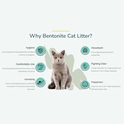Northland Cat Northland Bentonite Clumping Cat Litter Baby Powder  5 L