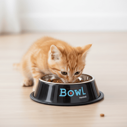 Nunbell Dog and cat Nunbell Small Black Pet Bowl
