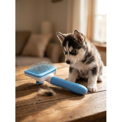 Nunbell Dog and cat Pet Hair Removal Brush Self Cleaning Slicker Brush for Cats and Dogs Blue