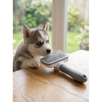 Nunbell Dog and cat Pet Hair Removal Brush Self Cleaning Slicker Brush for Cats and Dogs Gray