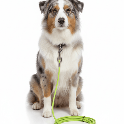 Nunbell Dog Nunbell Dog Leash Steel  Wire Rope 10 M