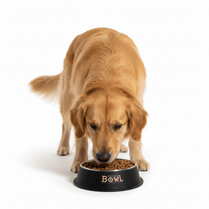 Nunbell Dog Nunbell Large Pet Bowl  1pcs 30 Cm Available In 3 Colors