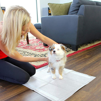 Nunbell Dog Nunbell Leak Proof Pet Training Pads 45x60cm 30 Pack
