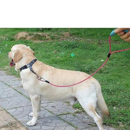 Nunbell Dog Nunbell Steel Wire Dog Leash Size 0.5 × 80 Cm Pink