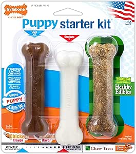 Nylabone Dog Nylabone Just For Puppies 3 Bone Puppy Starter Kit