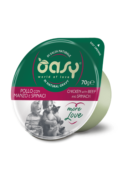 Oasy Cat Oasy Wet Pet Food for Adult Cats Chicken with Beef and Spinach 70g