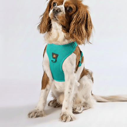 Pawstar Dog Pawstar 3XS Mint Green Air Mesh Dog Harness Neck 20-24cm And Waist 24 - 28 cm