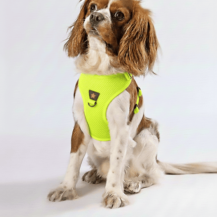 Pawstar Dog Pawstar 3XS Neon Yellow Air Mesh Dog Harness Neck 20-24cm And Waist 24 - 28 cm