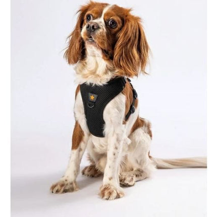 Pawstar Dog PAWSTAR Air-Mesh Harness Black XL