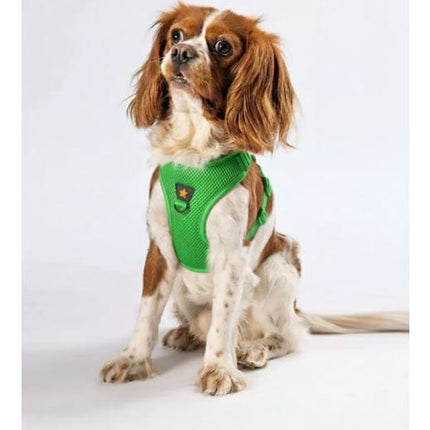 Pawstar Dog PAWSTAR Air-Mesh Harness Green XL